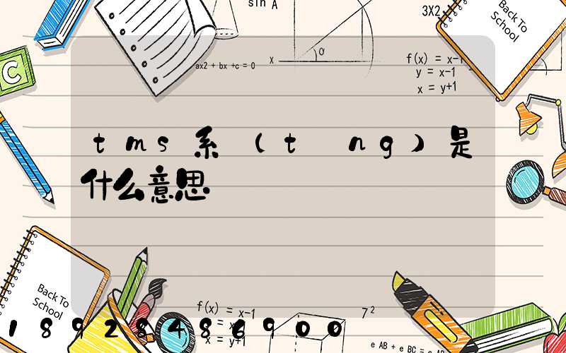 tms系統(tǒng)是什么意思
