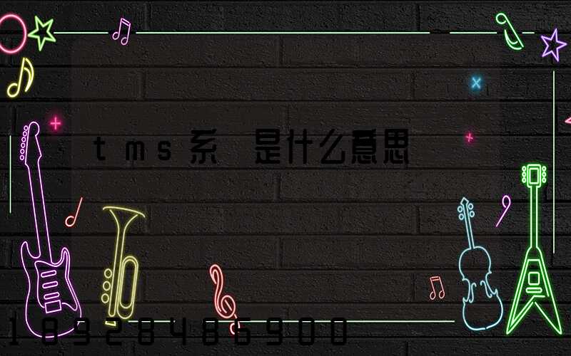 tms系統是什么意思