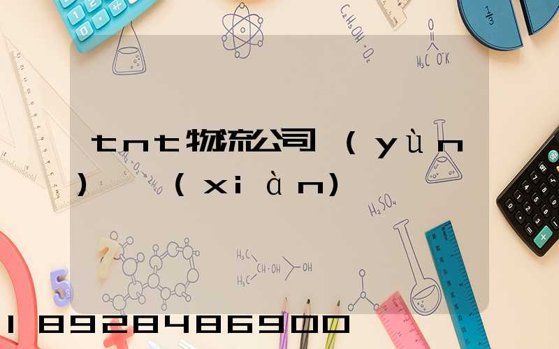 tnt物流公司運(yùn)輸現(xiàn)狀