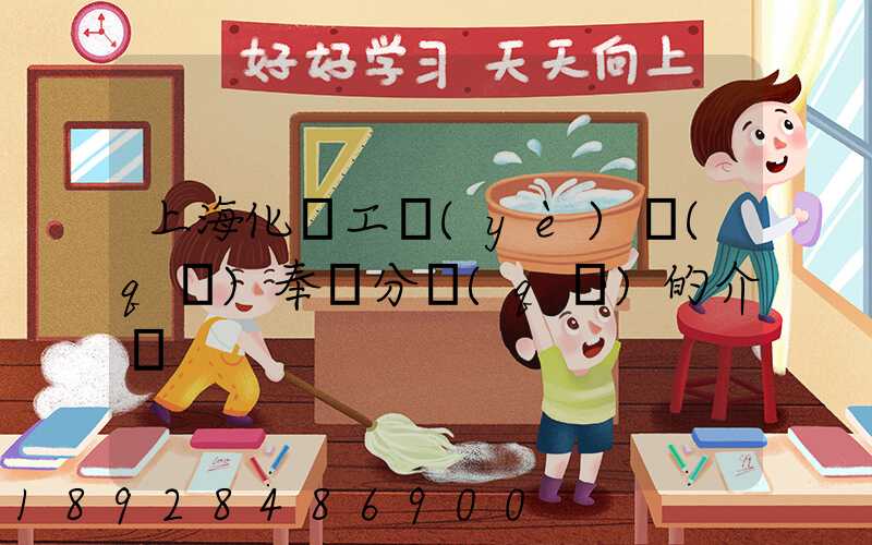 上海化學工業(yè)區(qū)奉賢分區(qū)的介紹