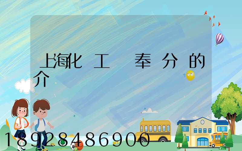 上海化學工業區奉賢分區的介紹