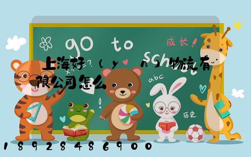 上海好運(yùn)物流有限公司怎么樣