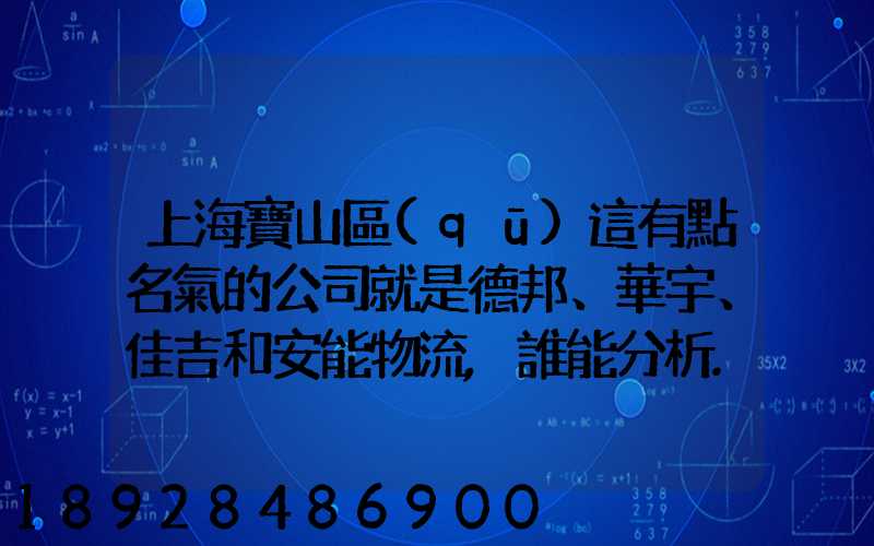 上海寶山區(qū)這有點名氣的公司就是德邦、華宇、佳吉和安能物流,誰能分析...