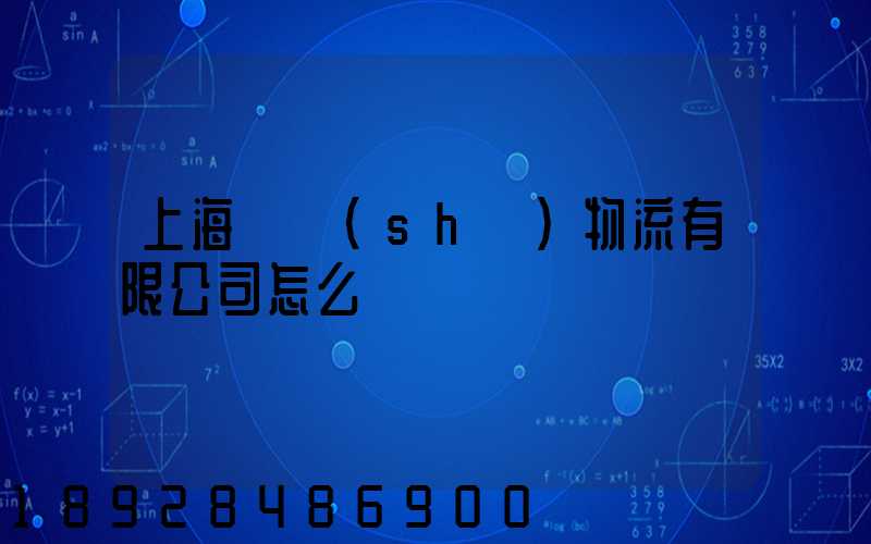 上海寶時(shí)物流有限公司怎么樣