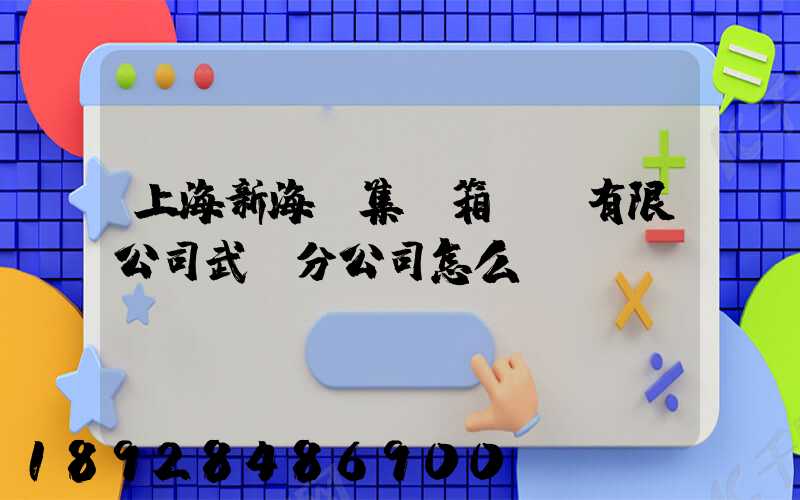 上海新海豐集裝箱運輸有限公司武漢分公司怎么樣