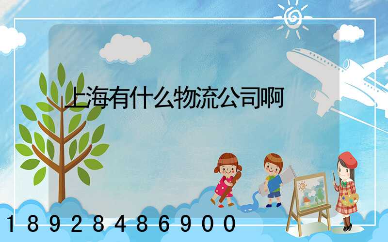 上海有什么物流公司啊