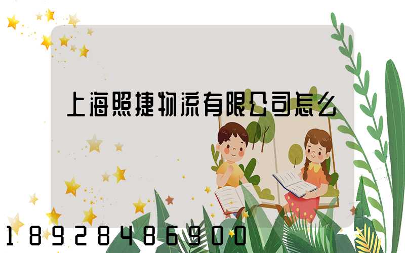 上海照捷物流有限公司怎么樣