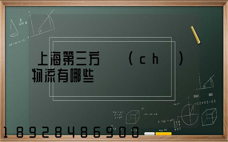 上海第三方倉儲(chǔ)物流有哪些