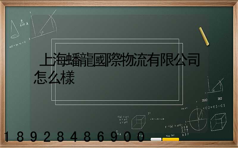 上海蟠龍國際物流有限公司怎么樣