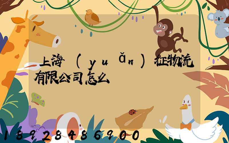 上海遠(yuǎn)征物流有限公司怎么樣