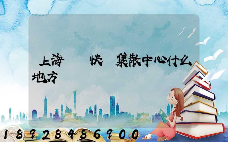上海順豐快遞集散中心什么地方