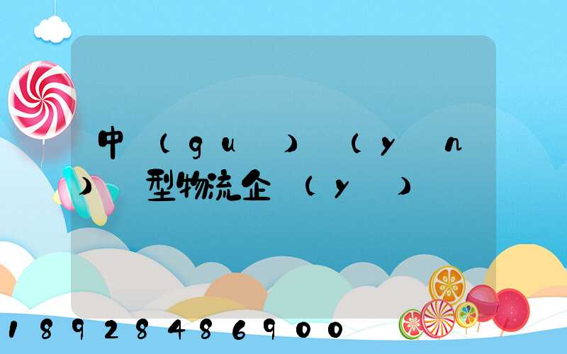 中國(guó)運(yùn)輸型物流企業(yè)