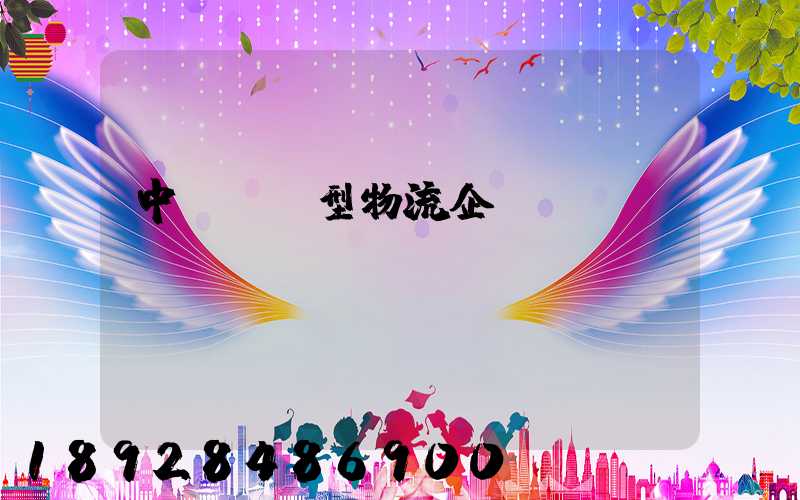中國運輸型物流企業