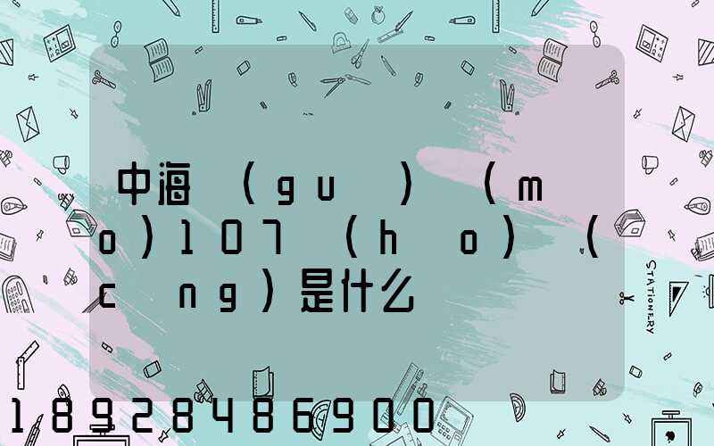 中海國(guó)貿(mào)107號(hào)倉(cāng)是什么