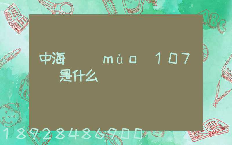 中海國貿(mào)107號倉是什么