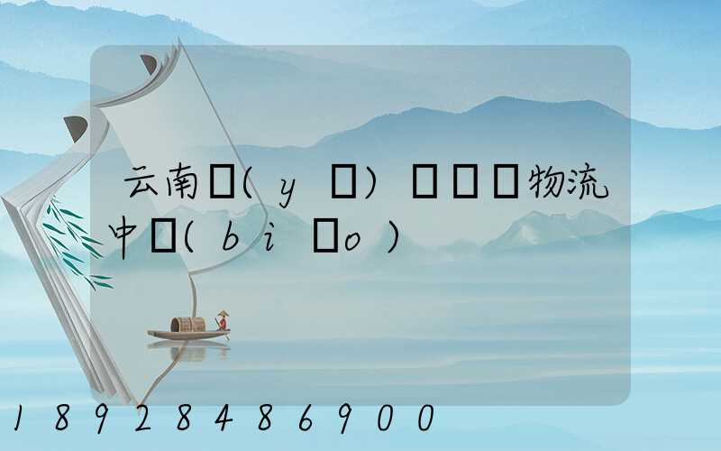 云南醫(yī)藥運輸物流中標(biāo)