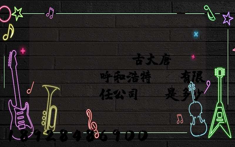 內(nèi)蒙古大唐國(guó)際呼和浩特鋁電有限責(zé)任公司電話是多少