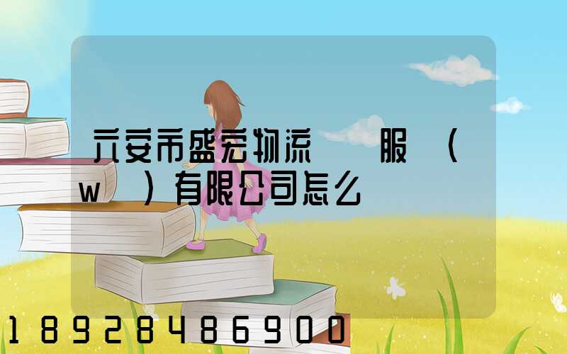 六安市盛宏物流運輸服務(wù)有限公司怎么樣