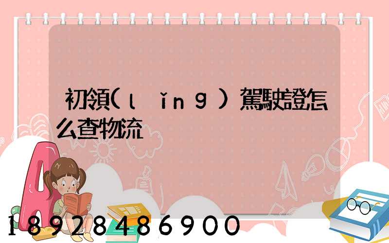 初領(lǐng)駕駛證怎么查物流