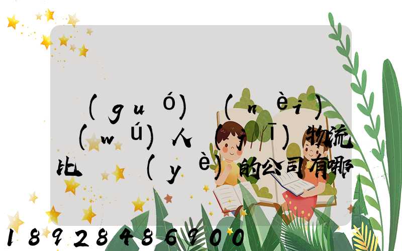 國(guó)內(nèi)無(wú)人機(jī)物流比較專業(yè)的公司有哪些