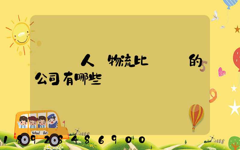 國內無人機物流比較專業的公司有哪些