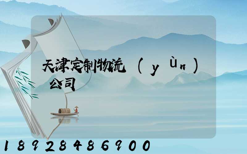 天津定制物流運(yùn)輸公司