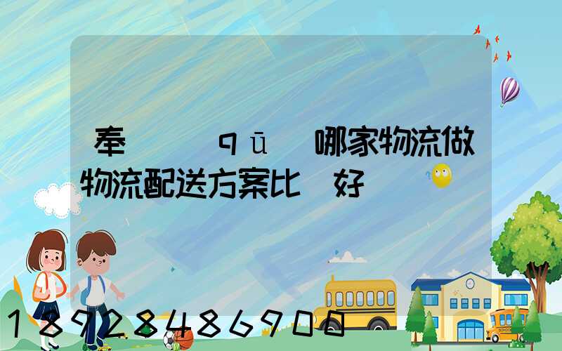 奉賢區(qū)哪家物流做物流配送方案比較好