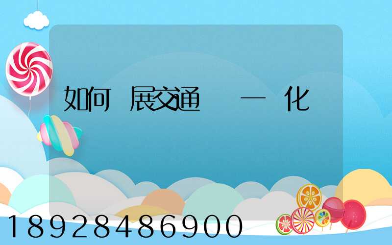 如何發展交通運輸一體化