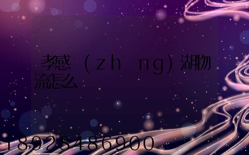 孝感長(zhǎng)湖物流怎么樣