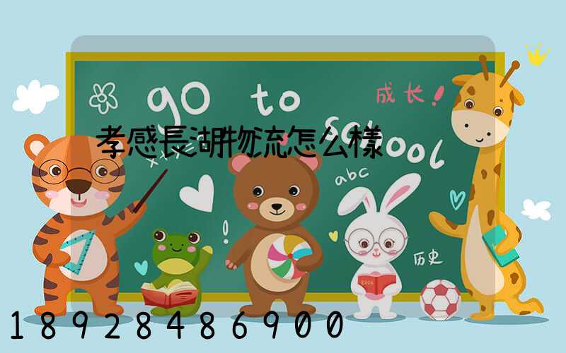 孝感長湖物流怎么樣