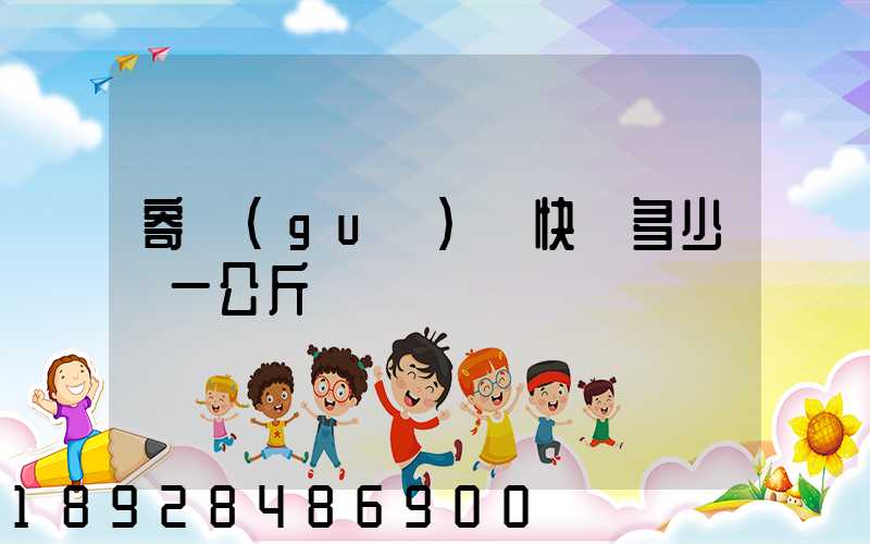 寄國(guó)際快遞多少錢一公斤