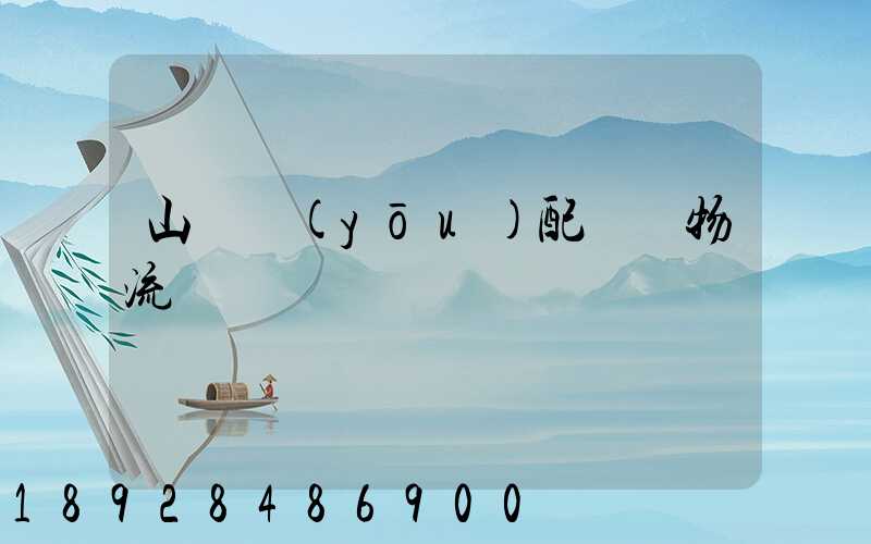 山東優(yōu)配運輸物流