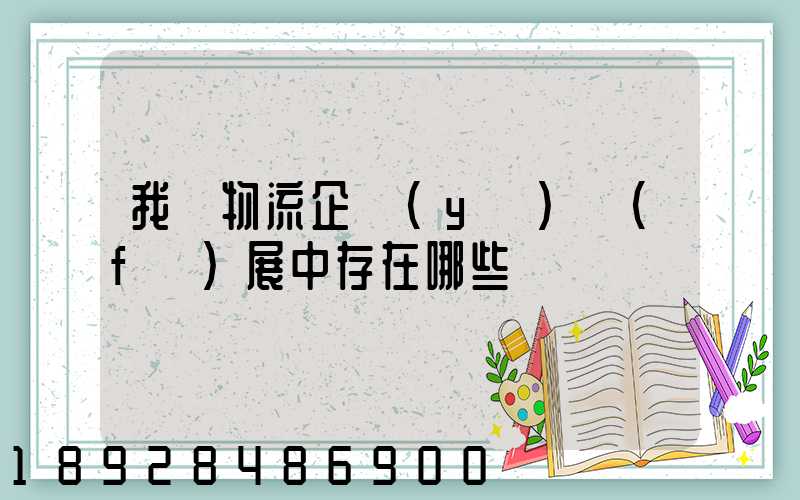我國物流企業(yè)發(fā)展中存在哪些問題