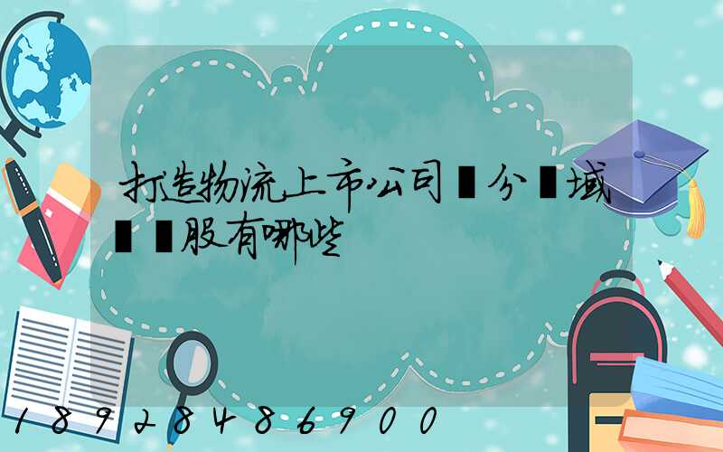 打造物流上市公司細分領域龍頭股有哪些