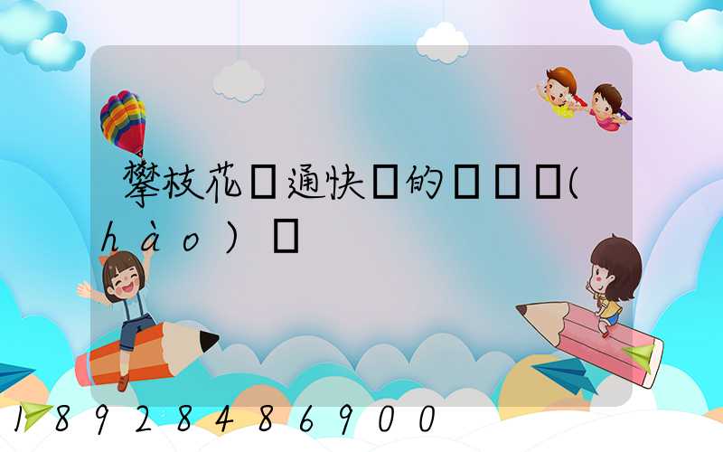 攀枝花圓通快遞的電話號(hào)碼