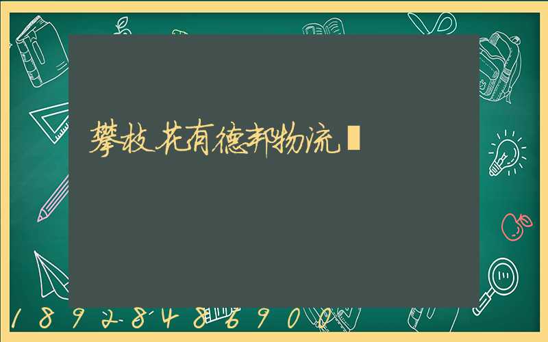 攀枝花有德邦物流嗎