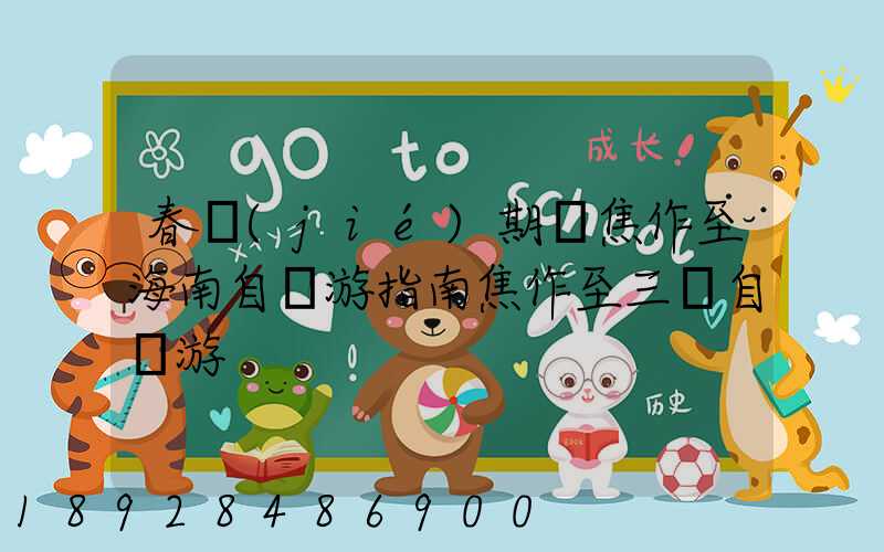 春節(jié)期間焦作至海南自駕游指南焦作至三亞自駕游