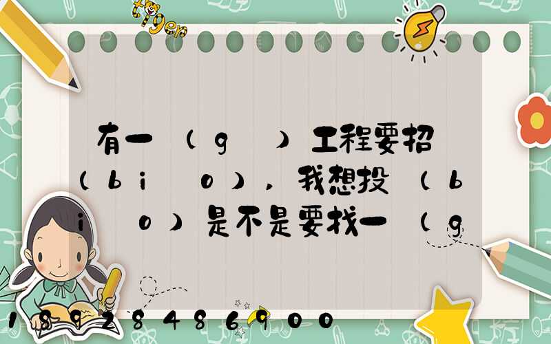 有一個(gè)工程要招標(biāo),我想投標(biāo)是不是要找一個(gè)公司或者別的去投標(biāo)流程改...