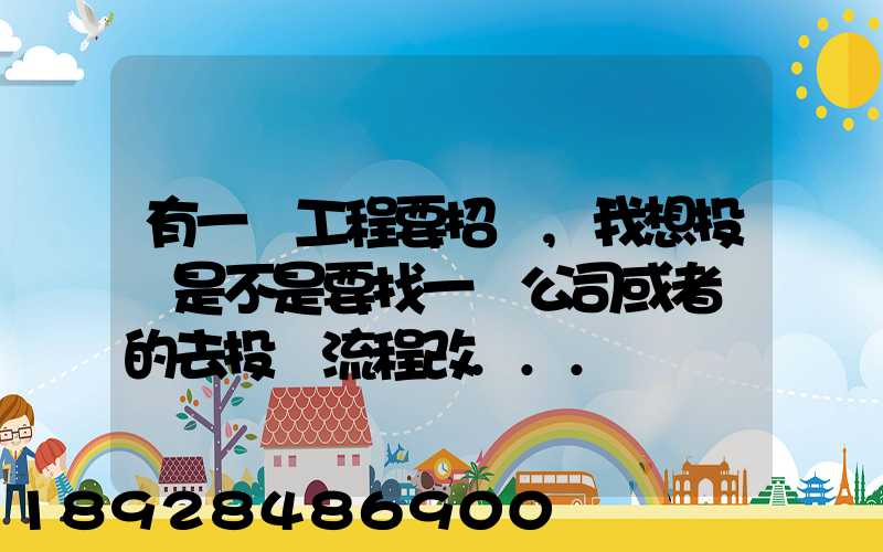 有一個工程要招標,我想投標是不是要找一個公司或者別的去投標流程改...