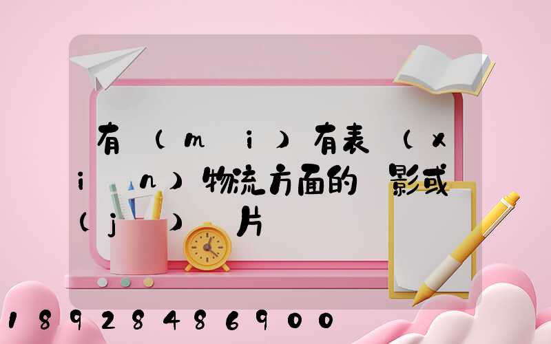 有沒(méi)有表現(xiàn)物流方面的電影或紀(jì)錄片