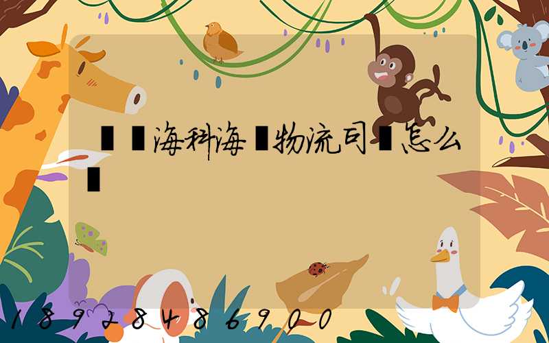 東營海科海達物流司機怎么樣