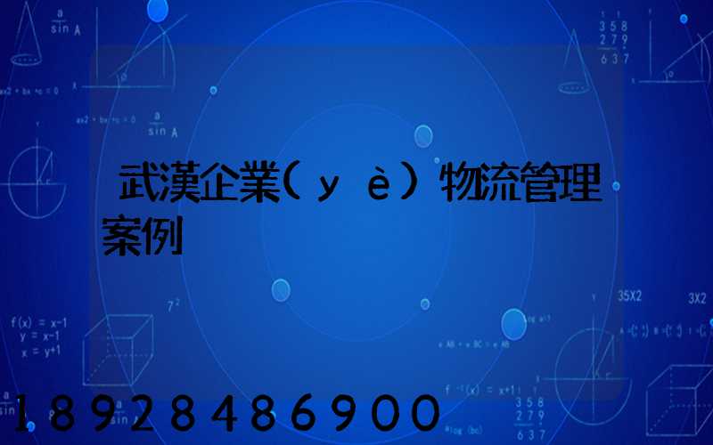 武漢企業(yè)物流管理案例
