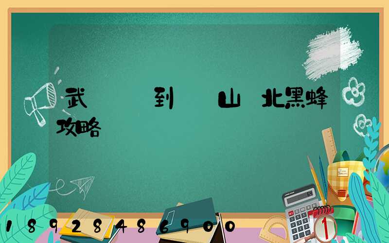 武漢駕車到雙鴨山東北黑蜂攻略