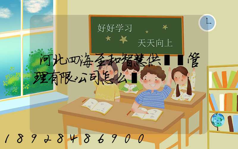 河北四海至和智慧供應鏈管理有限公司怎么樣