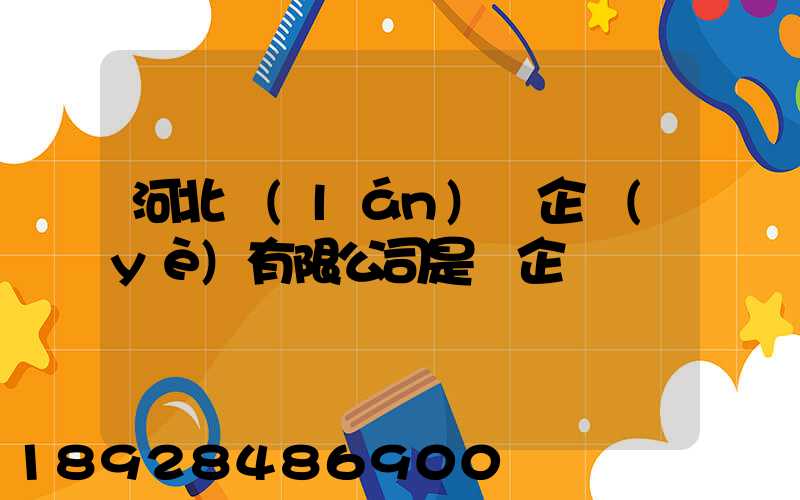 河北藍(lán)鯨企業(yè)有限公司是國企嗎
