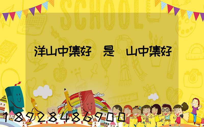 洋山中集好還是寶山中集好