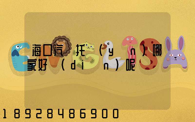 海口汽車托運(yùn)哪家好點(diǎn)呢