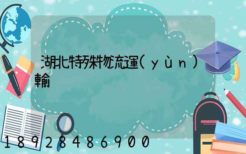 湖北特殊物流運(yùn)輸