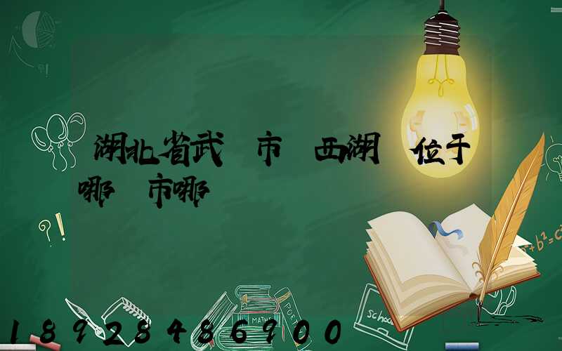 湖北省武漢市東西湖區位于哪個市哪個區