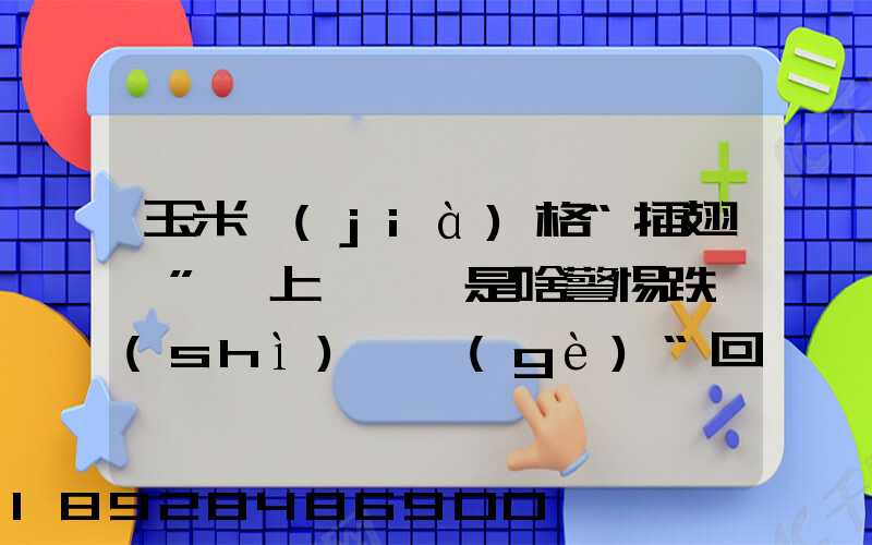 玉米價(jià)格“插翅漲”,上漲邏輯是啥警惕跌勢(shì)殺個(gè)“回馬槍”!